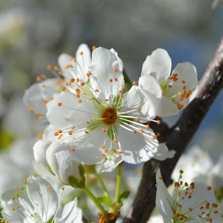 Apartamento Ar De Mar Alvor